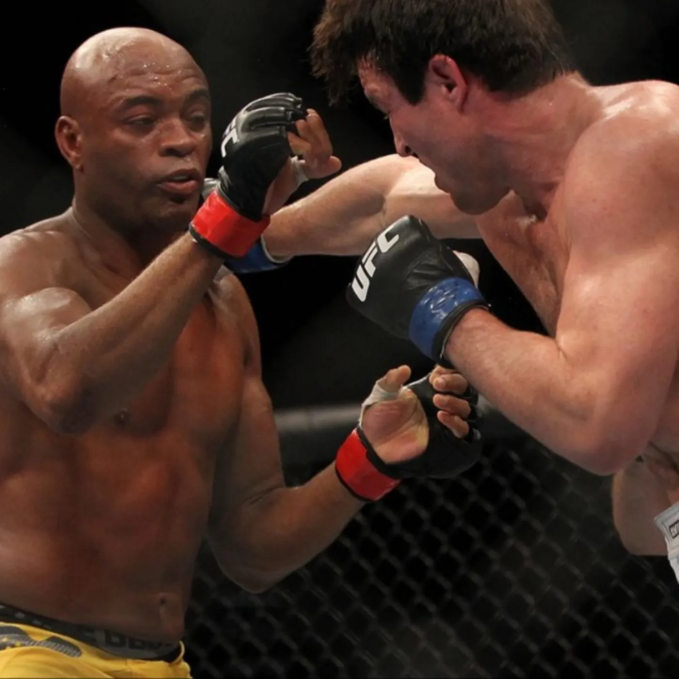 image_677ace0e731a6 UFC President Calls Anderson Silva Irrelevant, Silva’s Brutal Reply Will Shock You!