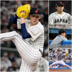 image_677eb7938cb99.webp