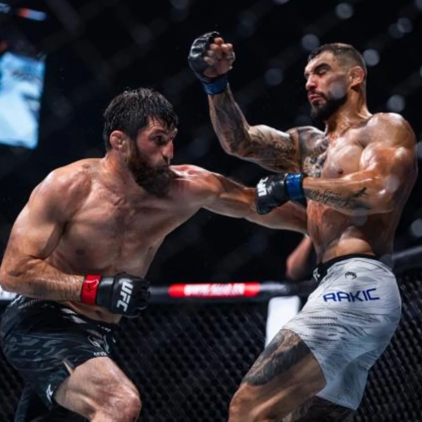 image_67847dc390210 Magomed Ankalaev Claims He'll Knock Out Alex Pereira in Striking, Slams Israel Adesanya as Unworthy