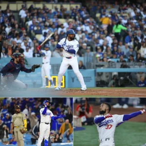 image_67876b2740de3.webp