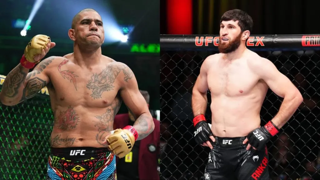 Alex Pereira claims his next fight "won't" be against Magomed Ankalaev |  BJPenn.com