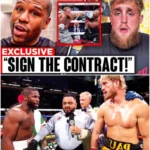 BBREAKING: Floyd Mayweather CALLS OUT Jake Paul after Mike Tyson Fight!