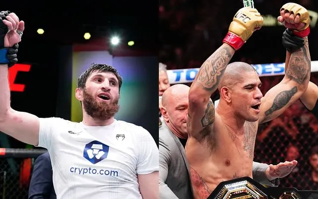 Alex Pereira: Magomed Ankalaev accuses Alex Pereira of "running" after UFC  champ expresses interest in Anthony Joshua's boxing suggestion