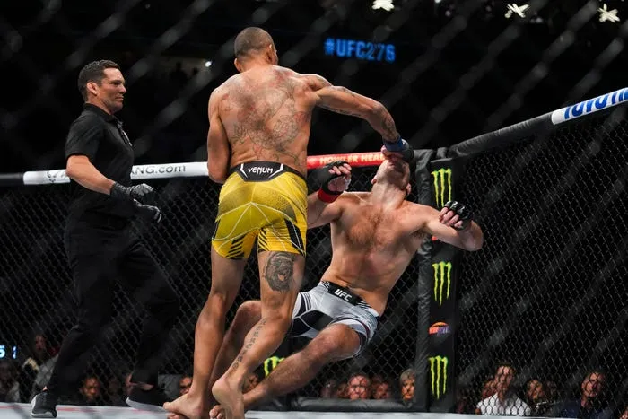 UFC 276: Alex Pereira Produces Best KO With Sean Strickland Finish -  Business Insider