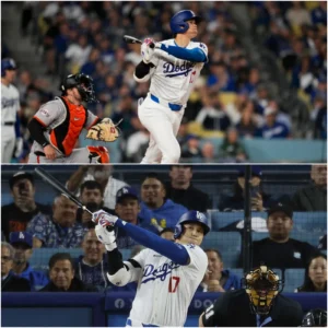 image_67b4615191039.webp